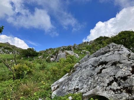 伊吹山西登山道から 伊吹山西登山道,西登山道,伊吹山の写真素材