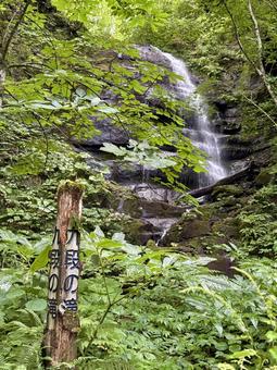 夏の奥入瀬渓流 九段の滝 夏の奥入瀬渓流 九段の滝 奥入瀬渓流,渓流,滝の写真素材