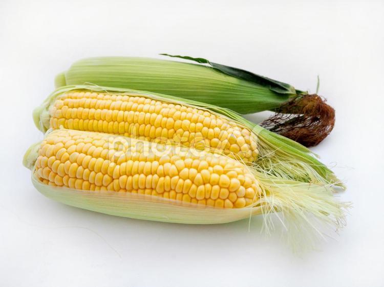 とうもろこし（皮付き１個、剥き２個） とうもろこし,皮付き,野菜の写真素材