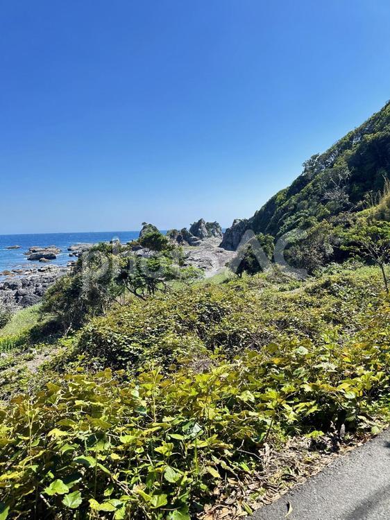 荒船海岸　海岸沿い 串本町の東端,熊野灘沿い,吉野熊野国立公園の写真素材