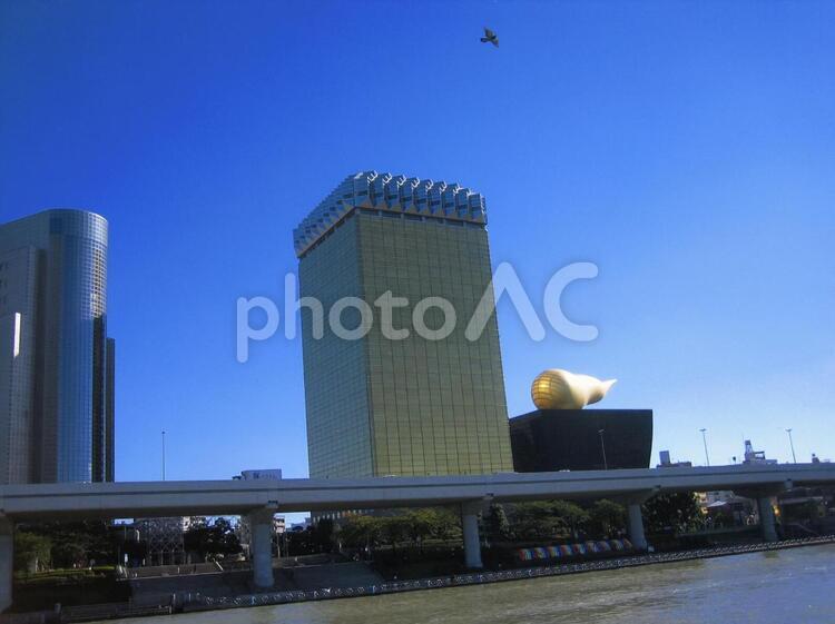 う○こビル 巨大建造物,空,青空の写真素材