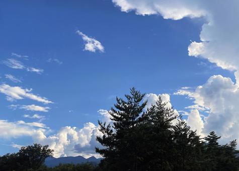 林の奥に湧き立つ入道雲 夏,青空,入道雲の写真素材