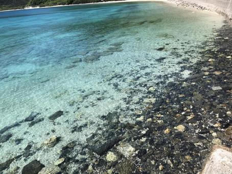 海 海の写真