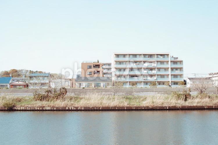 川沿いの風景 川沿い,川,土手の写真素材
