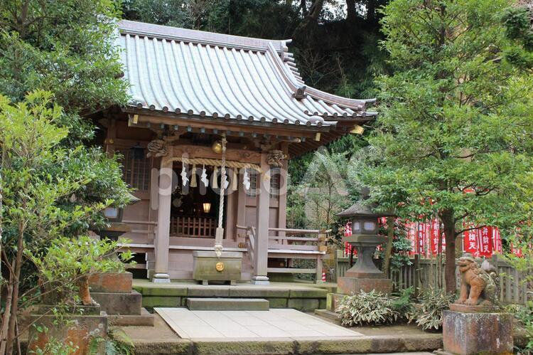 江ノ島　八坂神社 八坂神社,弁財天,江の島の写真素材