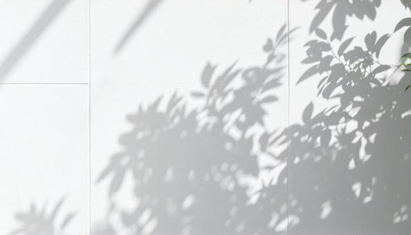 白い壁に映る植物の影のナチュラル背景の写真