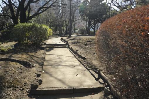 冬の公園 の小道 冬の公園 の小道の写真