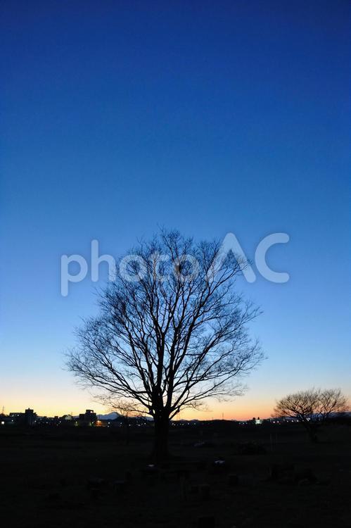 夕暮れ時の空 夕暮れ,日没,日暮れの写真素材
