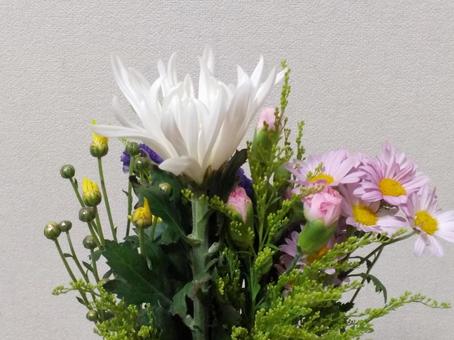 仏花 仏花 仏花,花,菊の写真素材