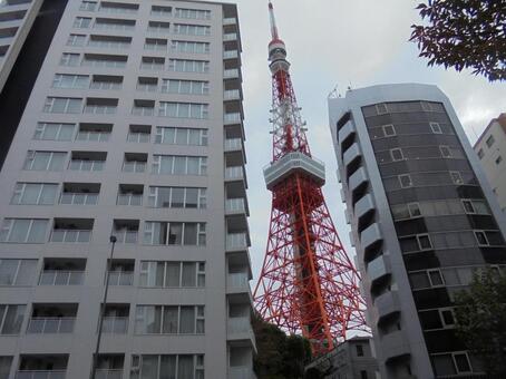 ビルの間から東京タワー ビル,街並み,東京タワーの写真素材