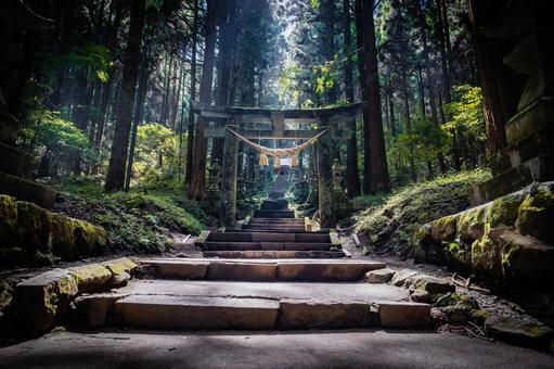 熊本県　上色見熊野座神社の風景 上色見熊野座神社,熊本,高森町の写真素材