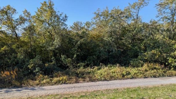 河川敷の風景 河川敷,河川敷の風景,草木の写真素材