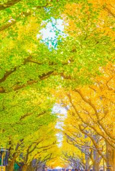 明治神宮外苑 いちょう並木 明治神宮外苑 いちょう並木 銀杏,並木道,紅葉の写真素材