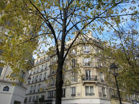 フランス、パリの秋の街並み フランス、パリの秋の街並み フランス,パリ,風景の写真素材