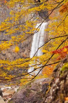 滝と紅葉 滝と紅葉 苗名の滝,新潟,滝の写真素材