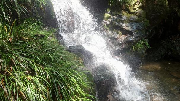 水無瀬の滝 水無瀬の滝の写真
