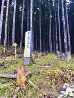 鍾乳洞登山道 登山道,鍾乳洞,天川村の写真素材