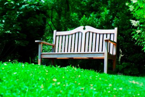 芝生の緑があざやかな夏の庭と木のベンチの写真
