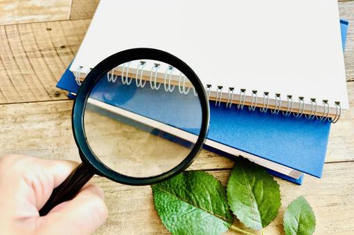勉強や仕事を調べるイメージ 勉強や仕事を調べるイメージ 勉強,調査,資格の写真素材