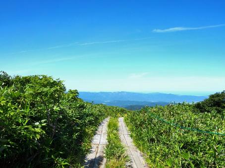 山道31 山道31 月山,月山弥陀ヶ原湿原,山形県の写真素材
