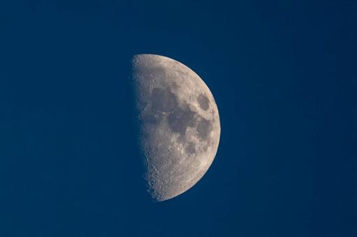 月齢7.8 月齢7.8の写真