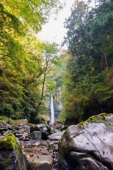 根尾の滝　秋（ 飛騨小坂）  滝,川,渓谷の写真素材
