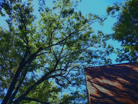 リゾート地の写真