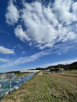 田舎の午後 夕方,シルエット,冬空の写真素材