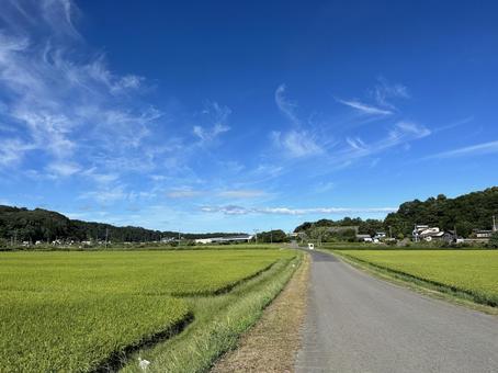 田舎道　夏空の写真