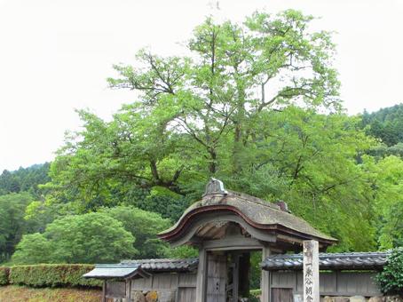 福井県-一乗谷朝倉氏遺跡-唐門-近景 福井県-一乗谷朝倉氏遺跡-唐門-近景の写真