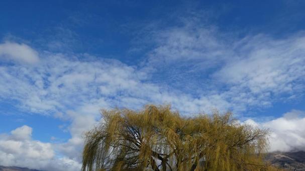 不思議な雲 不思議な雲の写真