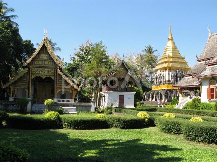 タイ　チェンマイ　芝生の風景 寺院,芝生,タイの写真素材