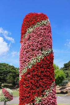 7月中旬のさぬきフラワーガーデンの花 7月中旬のさぬきフラワーガーデンの花の写真