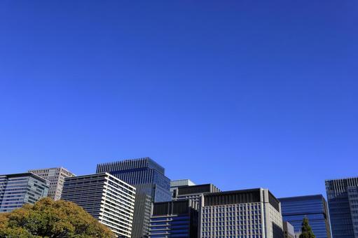オフィスビルと紅葉 オフィスビル,高層ビル,紅葉の写真素材