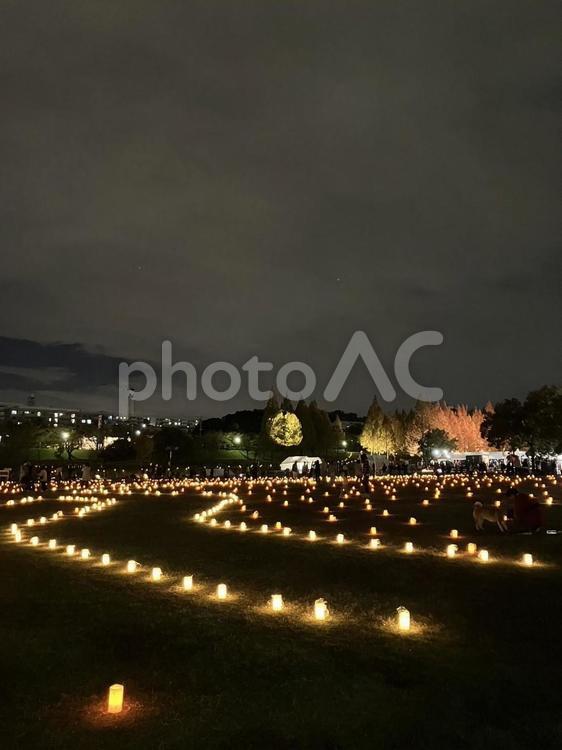 ライトアップされた夜の公園 ランタン,夜,公園の写真素材