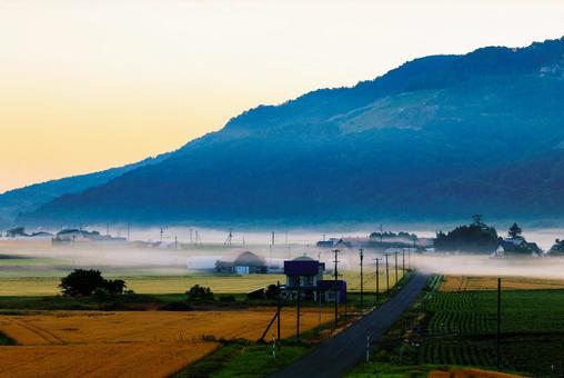 朝霧 朝霧 朝霧,霧,早朝の写真素材