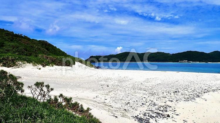 沖縄県慶良間諸島嘉比島のビーチの風景 嘉比島,ビーチ,海の写真素材
