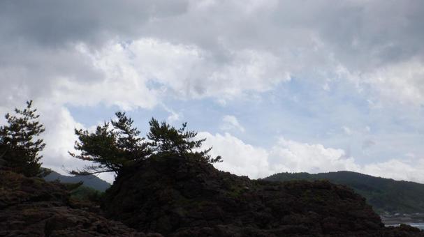 空と木 空と木の写真