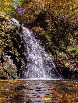 滝つぼから白滝の紅葉 白滝,紅葉,10月の写真素材