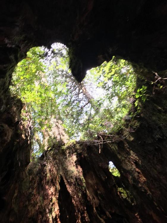 洞窟から見える幸せのハート 自然,景色,風景の写真素材