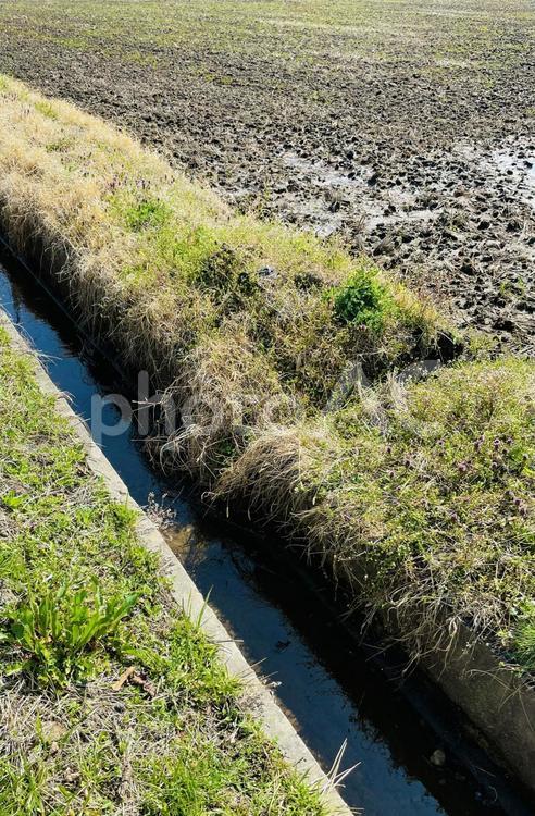 田植えを待つ用水路 田んぼ,田,用水路の写真素材