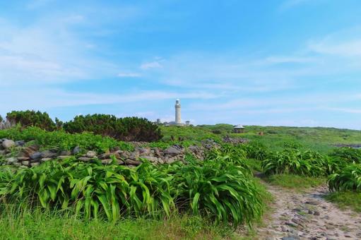 【山口県】角島灯台 【山口県】角島灯台 角島,灯台,晴れの写真素材