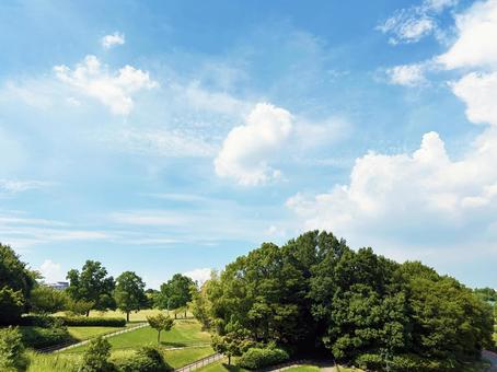 良く晴れた日の穏やかな空模様と公園の木々 良く晴れた日の穏やかな空模様と公園の木々の写真