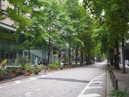 丸の内の仲通り(東京都・千代田区) 丸の内の仲通り(東京都・千代田区) 丸の内の仲通り,東京駅周辺,丸の内の写真素材