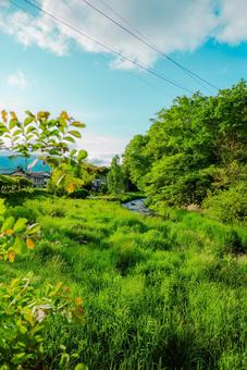 【長野】軽井沢の長倉神社 パワースポット 【長野】軽井沢の長倉神社 パワースポットの写真