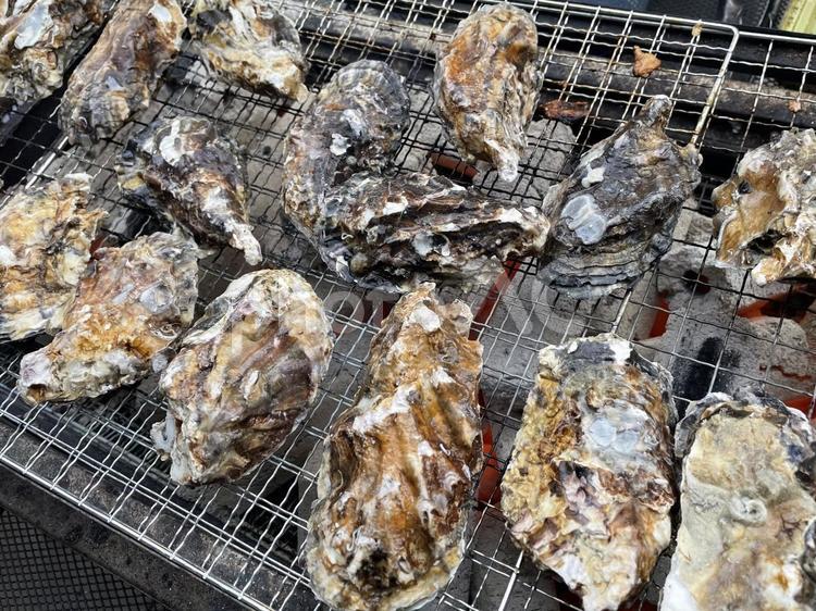 バーベキューで牡蠣を食べよう① バーベキュー,bbq,牡蠣の写真素材
