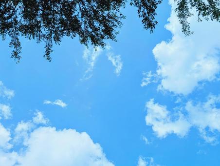 青空と雲 青空と雲の写真