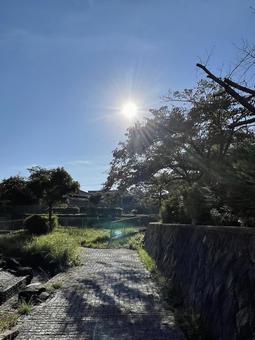 朝の公園 秋,空,高いの写真素材