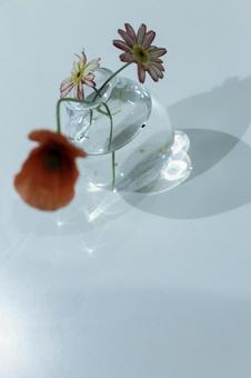 Photo, vase, flower, interior, 