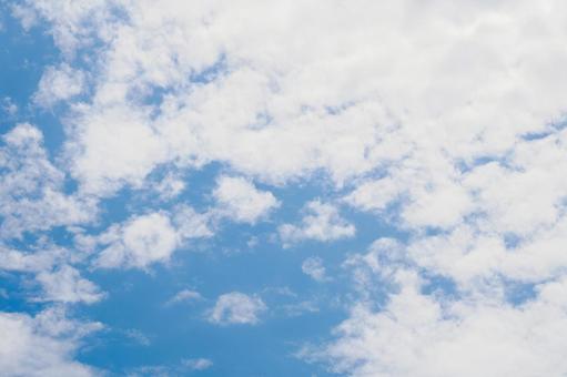 夏の空(21)の写真